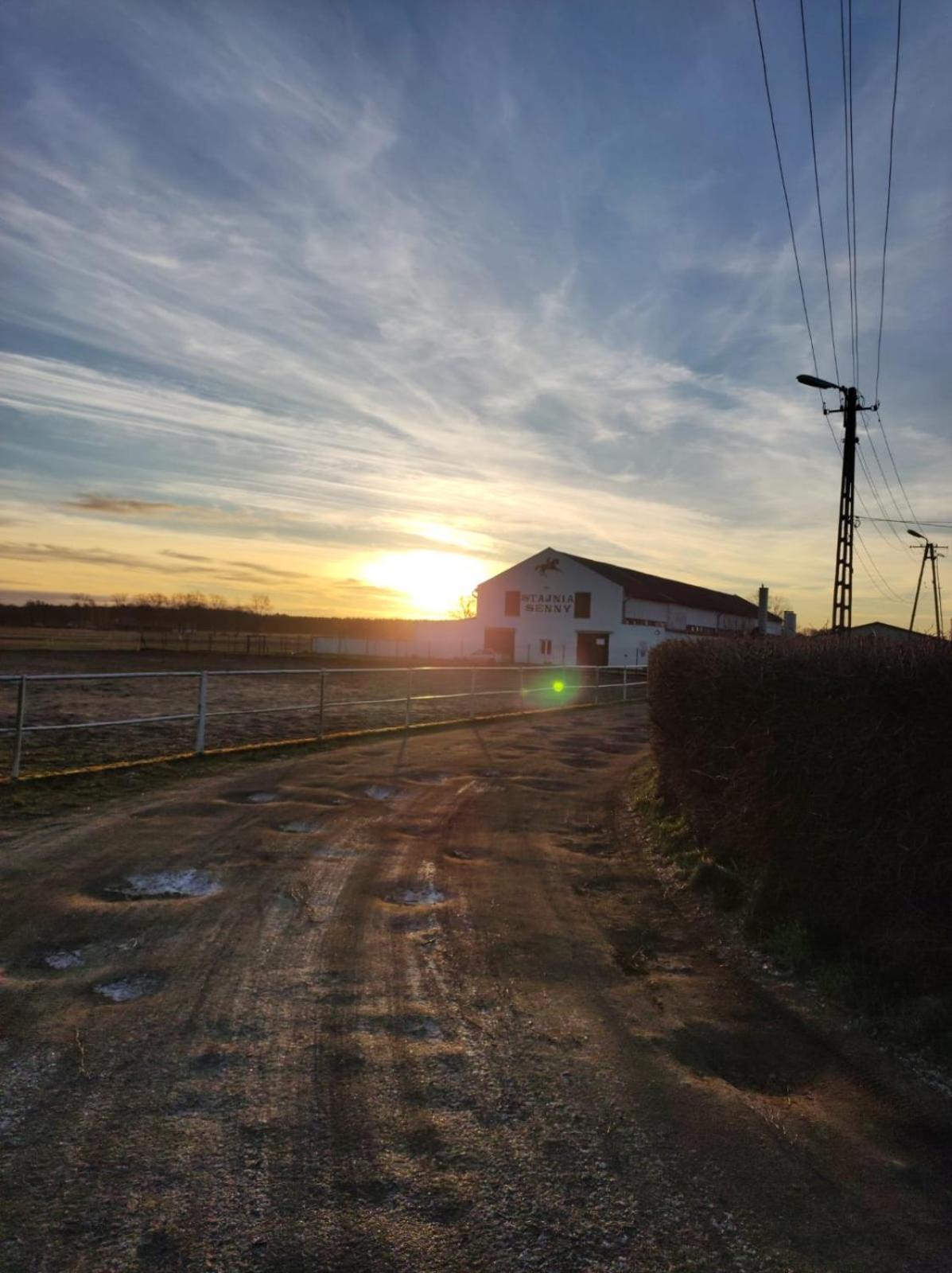 Noclegi Przy Stajni Senny - Horse Riding Łeba Buitenkant foto